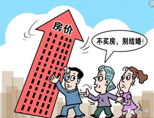 亲妈房产过户怎么办理（亲妈的房子以后会是谁的）
