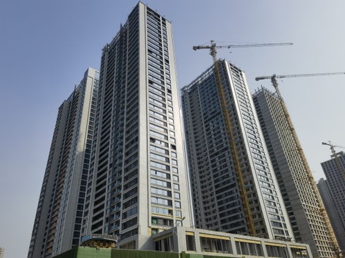 太原小虎房产怎么样（太原小虎房产怎么样知乎）