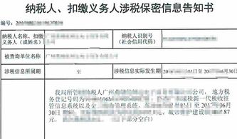 广西房产契税怎么缴纳（广西房产契税缴纳后哪里去要完税证明）