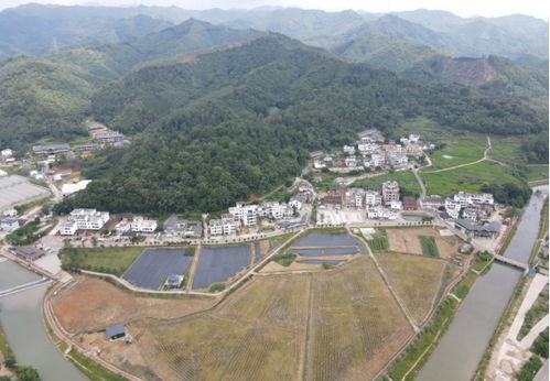 石桥村拆迁怎么分房产（石桥村征地）