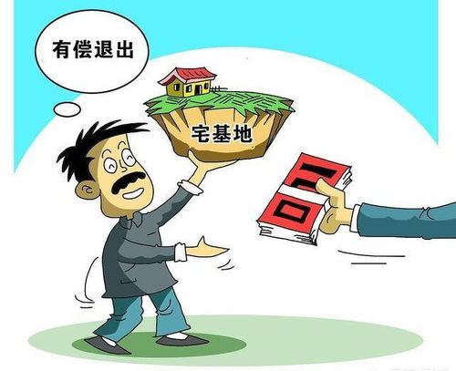 房产确权进展情况怎么写（房屋确权调查什么）
