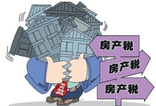 房产代管人怎么判定（房产代管人怎么判定的）