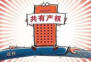 房产不是资产怎么办（产权不属于自己的房子能出租吗）