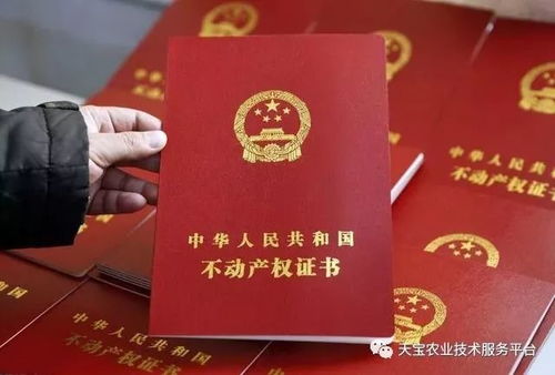 陪嫁房产证怎么买（陪嫁买的房子算共同财产吗）
