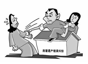 房产纠纷继承怎么写（房屋产权继承纠纷）