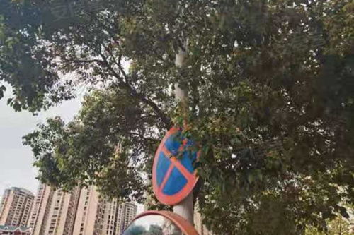 凤达房产怎么样（凤达地产）