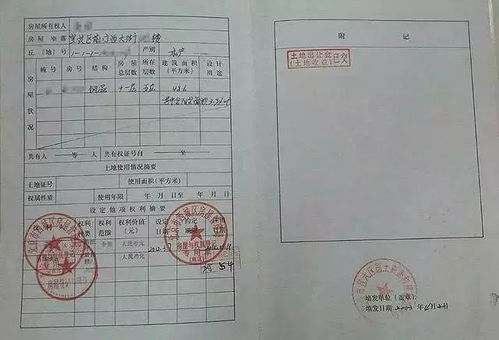日照房产证怎么处理（日照房产证查询网上查询）