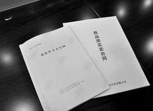 房产加名字协议怎么写（房产加名字协议怎么写的）