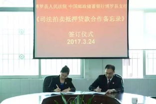 法院拍卖房产怎么挽回（法院拍卖房产怎么挽回的）