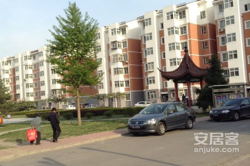 真鑫房产怎么样（真鑫园饭店怎么样）