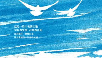 加盟麦田房产怎么样（麦田房产可以加盟吗）