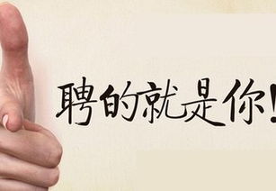 房产人从业故事怎么写（房产从业经历怎么写）