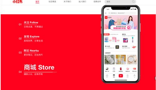 小红书房产广告怎么发（小红书房产广告怎么发的）