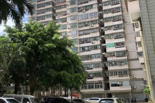 房产人怎么评价海口的（海口房价评估）