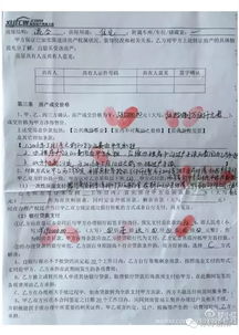 起诉堂哥诈骗房产怎么写（起诉堂哥诈骗房产怎么写材料）