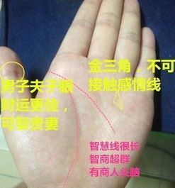 手相怎么看房产纹（手相房产纹手相图解）
