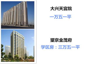 揭秘房产博主怎么变现（房产博主排名）