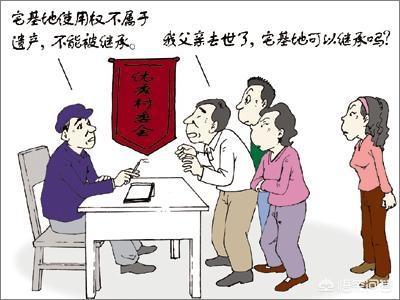 领养子女怎么继承房产（领养的孩子如何继承）