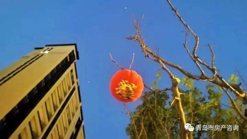青岛东李房产怎么选（青岛东李房产怎么选房子）