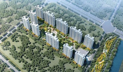 博群房产怎么样（博群房地产公司）