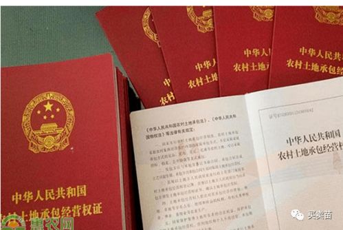 绿卡怎么注销房产证（绿卡怎么注销房产证手续）