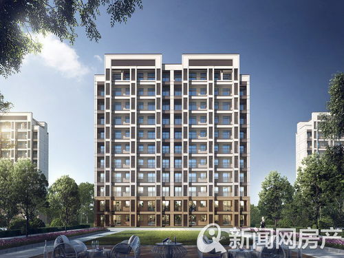 青岛房产冻结怎么查询（青岛房产网上查询）