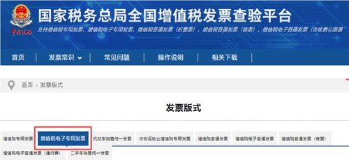 房产税买方怎么申报（房产税买方怎么申报增值税）