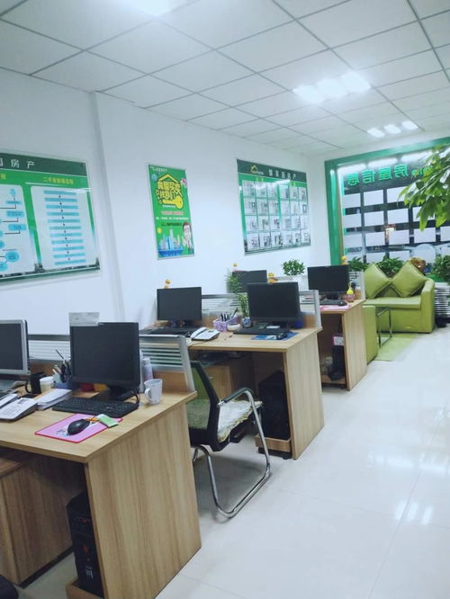 房产连锁店怎么运营（房产连锁加盟）