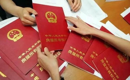 小学房产证怎么拍（小学 房产证）