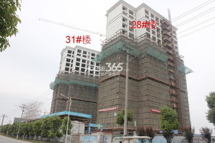 苏州伟业房产怎么样（苏州伟业房产怎么样可靠吗）