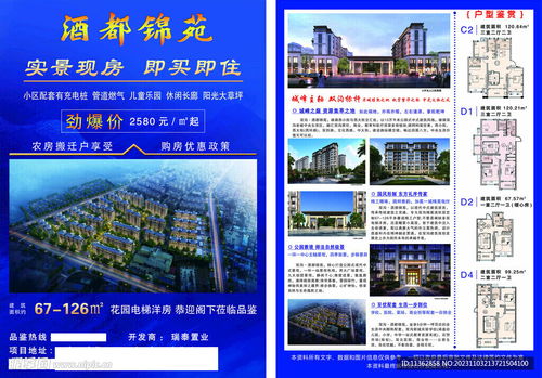怎么发房产传单最有效（房产传单派发技巧）