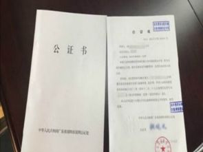 将房产过户公证怎么写（将房产过户公证怎么写委托书）