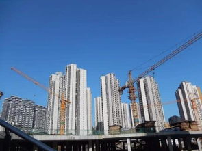 房产企业员工号怎么显示（房产公司员工房）