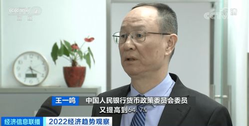 房产专家高鑫简历怎么写（房产专家高鑫简历怎么写的）