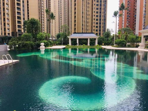 喀什浪漫房产怎么样（浪漫咖啡电话）