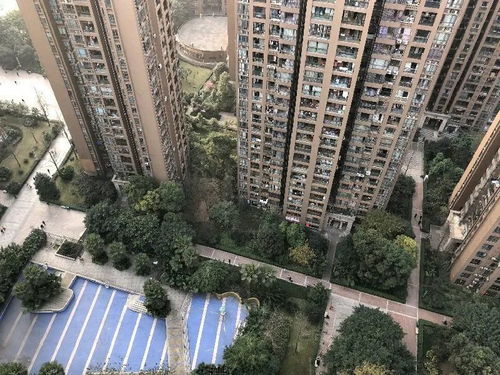 房产大v怎么拍房子（怎么拍房产视频）