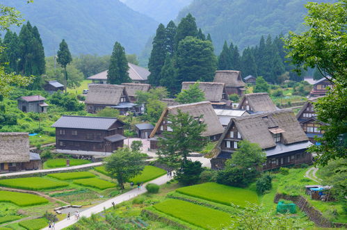 农村人怎么投资房产赚钱（投资农村房子）