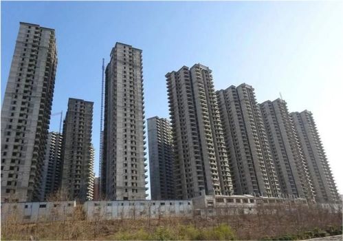 地震之后怎么安置房产房（地震之后怎么安置房产房子）