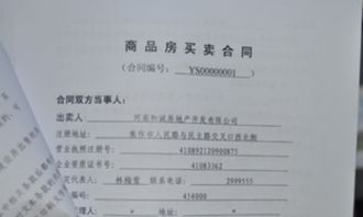 拆迁房产性质怎么填写（拆迁房产性质怎么填写图片）