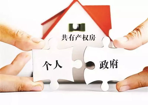 兄弟共有房产怎么拆（兄弟共有产权房怎么分割）