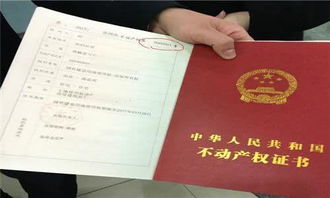 老房产证怎么确权（老房产证怎么确权登记）