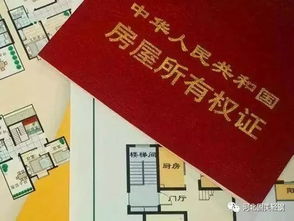 农村住宅房产怎么查询（怎么查询农村房子的房产证）