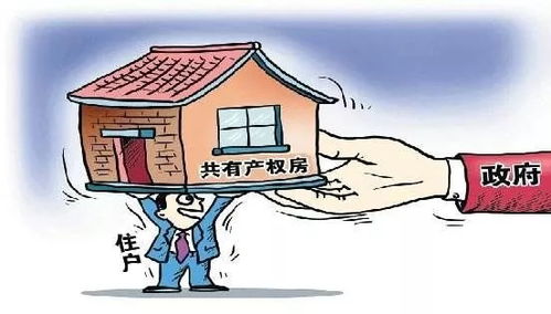 共有房产份额怎么公证（共有房产证怎么分割）