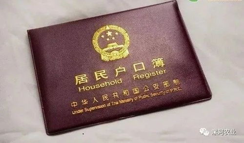 房产证坏了怎么换证（房产证坏了怎么办）