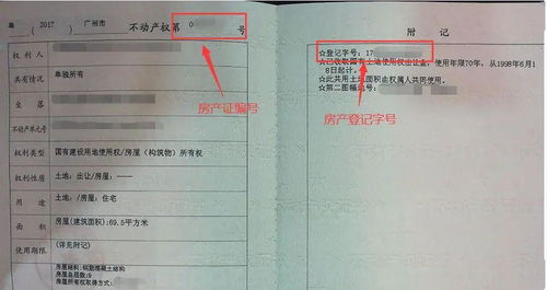 房产证补办怎么取（房产证补办怎么取公积金）