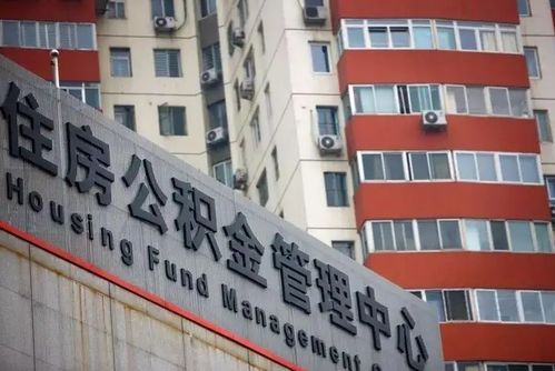 金鸿达房产怎么样（金鸿达科技有限公司）