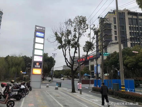 国家怎么不管房产中介（国家为啥不管中介）
