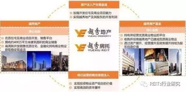 房产视频结尾怎么引起互动（房产短视频剧本）
