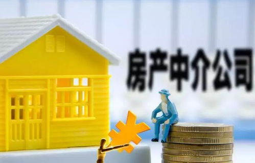 房产买家乱砍价怎么处理（卖房时怎么对付买家砍价）