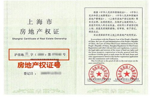 怎么查房产缴费信息表（如何查询房产税缴费记录）
